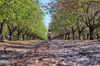 Rear view of people walking on dirt road