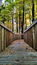 Footbridge in forest