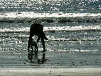 Dog running on shore