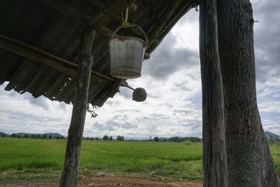 Low angle view of trees on field against sky