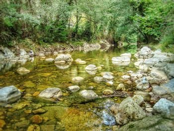 Stream flowing through rocks