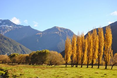 Scenic view of field against sky during autumn