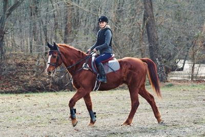 Portrait of girl riding horse against bare trees