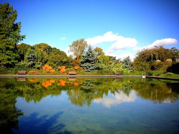 Reflection of trees in calm lake