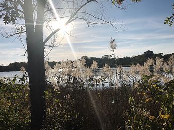 Scenic view of lake against sky