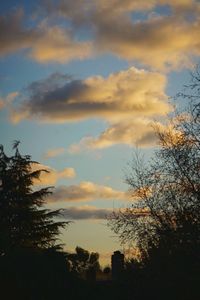 Low angle view of silhouette trees against sky