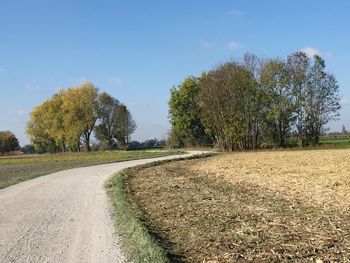 Road amidst trees on field against sky