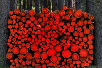 Close-up view of red wine