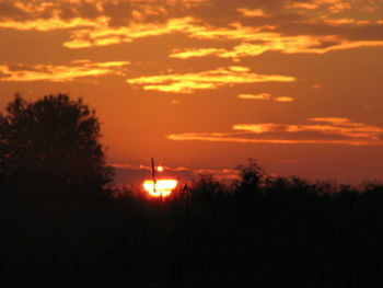 Silhouette trees against sky during sunset