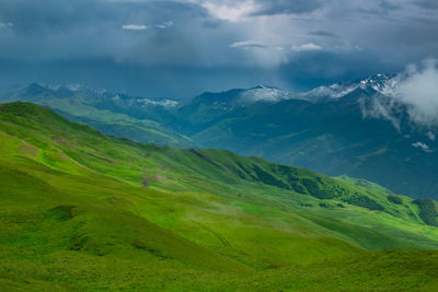 Scenic view of landscape against sky