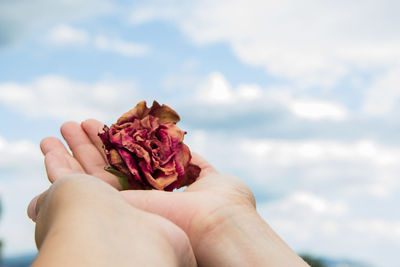 Cropped of person holding flower against cloudy sky