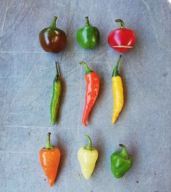 High angle view of chili peppers in container