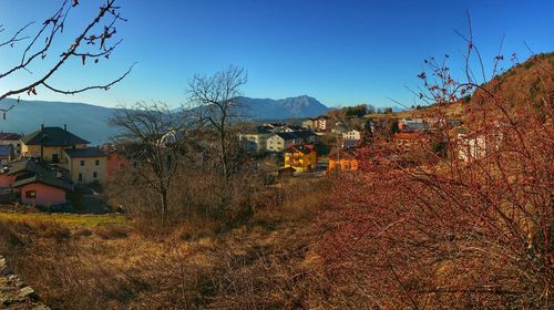 Houses in town against clear blue sky