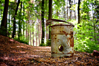 Close-up of rusty metal on tree trunk in forest