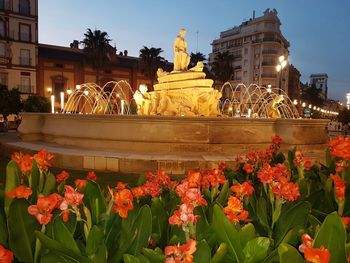 Statue of illuminated flowering plants by building against sky