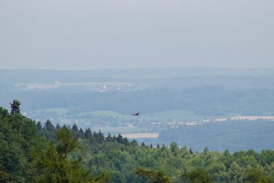 View of birds flying over mountain against sky