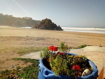 Scenic view of sea against clear sky