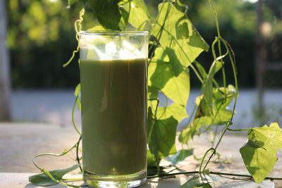 Close-up of drink on table