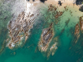 High angle view of man swimming in sea