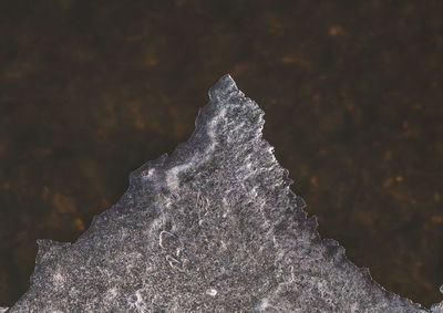 Close-up of water on rock