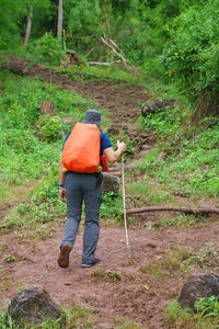 Hike trail hiker man walking in autumn fall nature woods during fall season. 