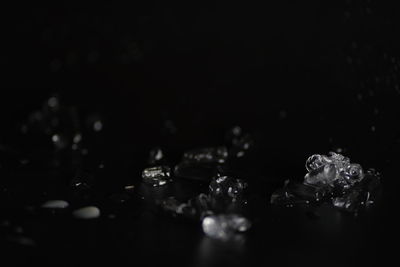 Close-up of water splashing against black background