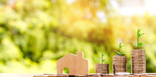 Close-up of coins and plants with wooden house on table