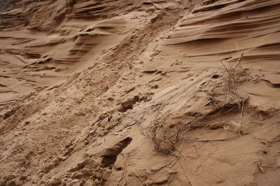 Full frame shot of sand dunes at beach