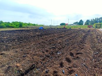 Scenic view of field against sky