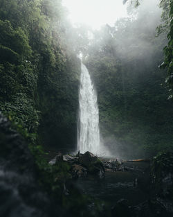 Scenic view of waterfall