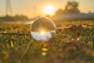 Close up of glass ball against sunset