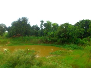 Scenic view of landscape