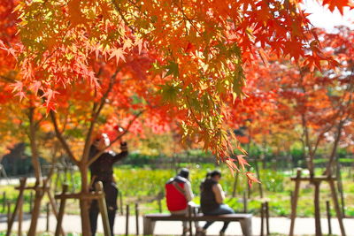 People at park autumn