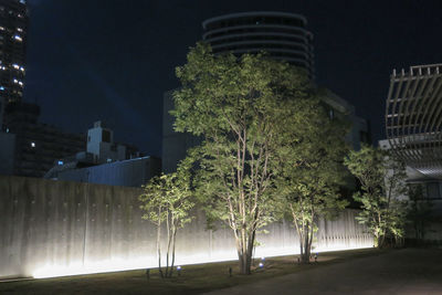 Low angle view of illuminated trees by building at night