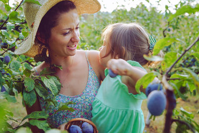 Woman carrying daughter picking grapes in vineyard