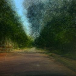 Road passing through trees