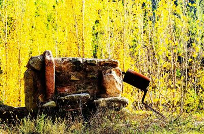 Old rusty wheel on field