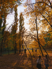 People by trees in park during autumn