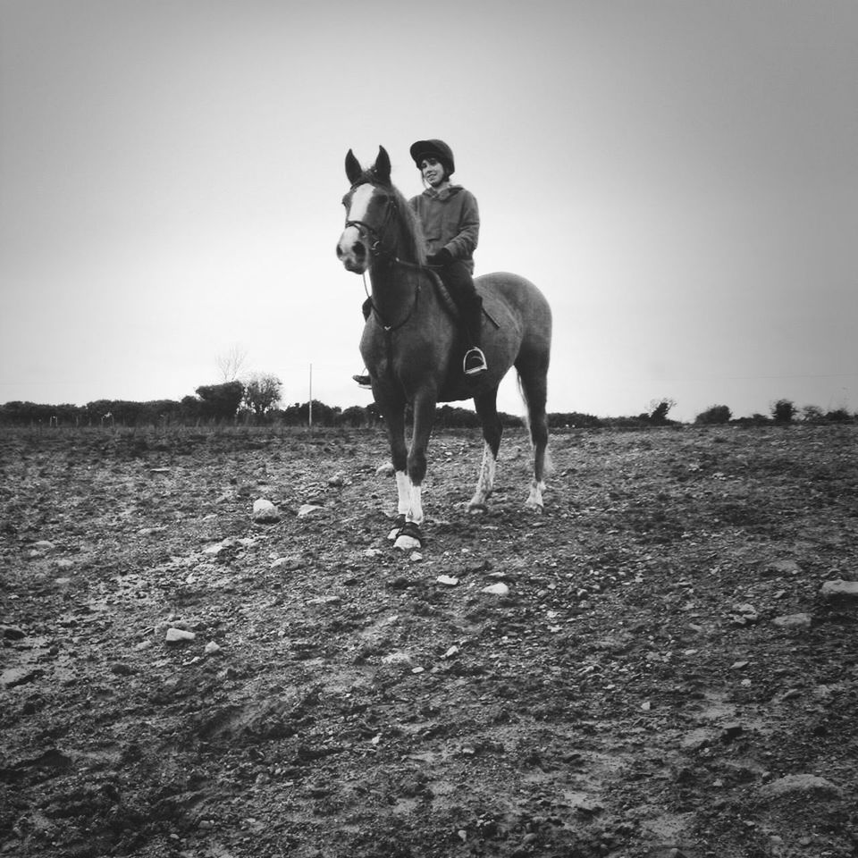 field, lifestyles, leisure activity, domestic animals, clear sky, men, full length, copy space, landscape, riding, dog, mammal, sky, day, animal themes, grass, outdoors, nature