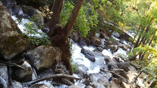 Scenic view of waterfall in forest