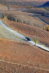 High-angle view of a tractor on a country road among vineyards in autumn, langhe, piedmont, italy