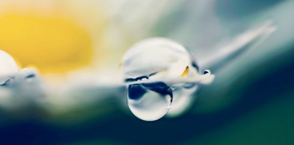 Extreme close-up of water