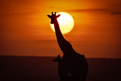 Silhouette woman with dog on beach against sky during sunset