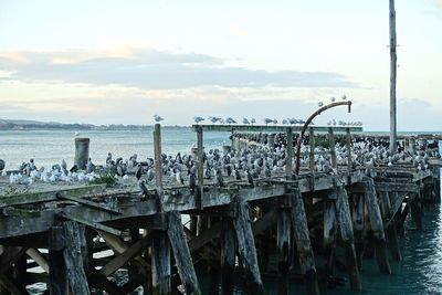 Pier over sea against sky