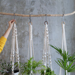 Cropped hand adjusting hanging plants