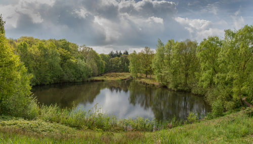 Scenic view of lake by trees against sky