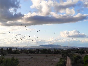 Flock of birds flying in sky