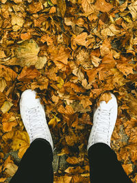 Low section of man standing on maple leaves