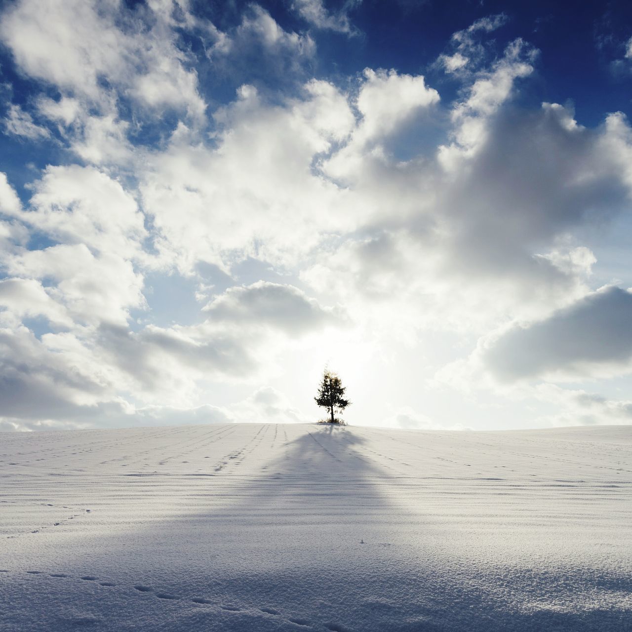 sky, landscape, tranquility, tranquil scene, cloud - sky, cloud, nature, scenics, beauty in nature, tree, sand, cloudy, desert, horizon over land, field, day, sand dune, arid climate, remote, outdoors