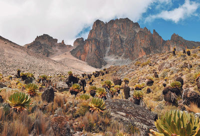 Scenic view of a mountain against sky, mount kenya national park, kenya
